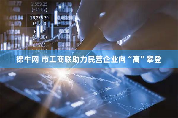 锦牛网 市工商联助力民营企业向“高”攀登