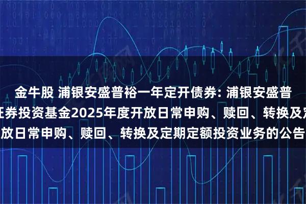 金牛股 浦银安盛普裕一年定开债券: 浦银安盛普裕一年定期开放债券型证券投资基金2025年度开放日常申购、赎回、转换及定期定额投资业务的公告