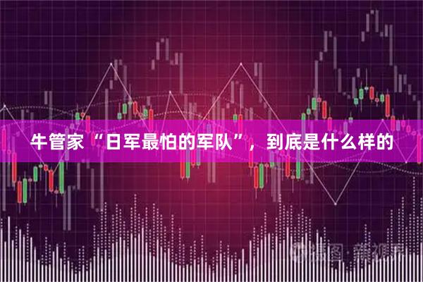 牛管家 “日军最怕的军队”，到底是什么样的