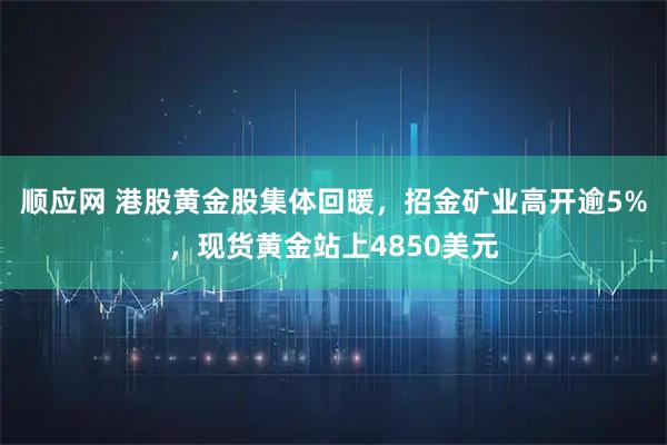 顺应网 港股黄金股集体回暖，招金矿业高开逾5%，现货黄金站上4850美元