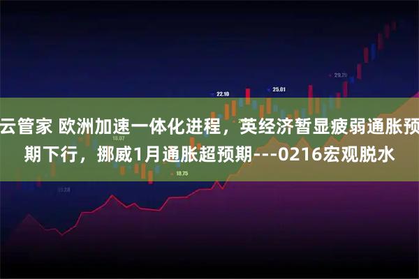 云管家 欧洲加速一体化进程，英经济暂显疲弱通胀预期下行，挪威1月通胀超预期---0216宏观脱水