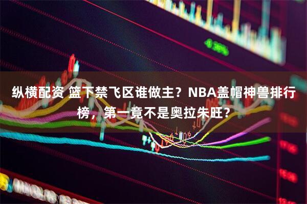 纵横配资 篮下禁飞区谁做主？NBA盖帽神兽排行榜，第一竟不是奥拉朱旺？