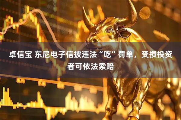 卓信宝 东尼电子信披违法“吃”罚单，受损投资者可依法索赔