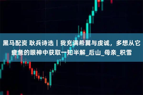 黑马配资 耿兵诗选｜我充满希翼与虔诚，多想从它疲惫的眼神中获取一知半解_后山_母亲_积雪