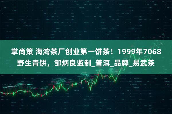 掌尚策 海湾茶厂创业第一饼茶！1999年7068野生青饼，邹炳良监制_普洱_品牌_易武茶